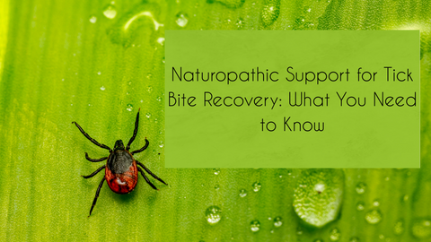 Naturopathic Support for Tick Bite Recovery: What You Need to Know
