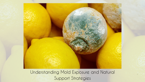 Understanding Mold Exposure and Natural Support Strategies