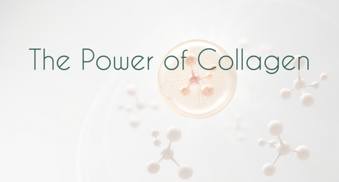 Understanding Collagen: The Essential Protein for Health and Wellness