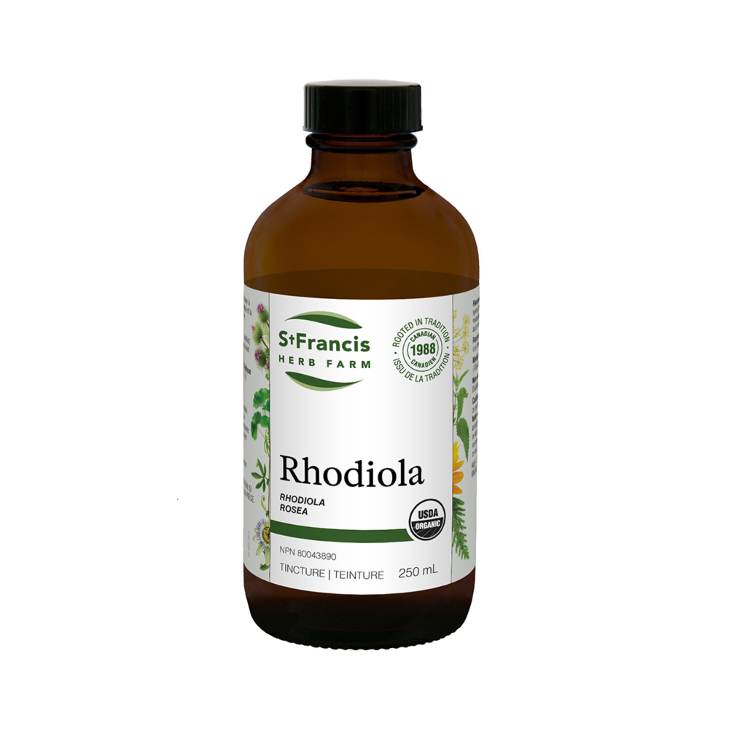 Farming Rhodiola St. Francis Herb Farm Rhodiola – The Organic Compounding Pharmacy