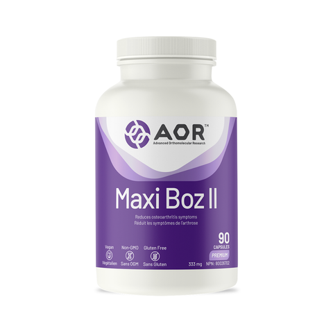 AOR Maxi Boz II