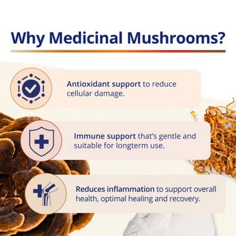 CanPrev Reishi Full Spectrum